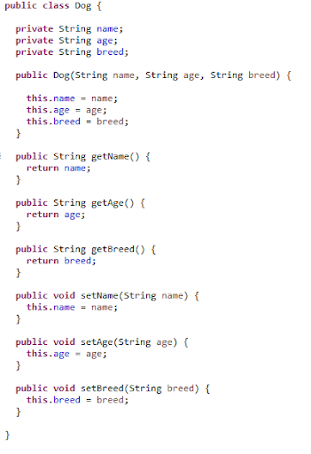 Object-relational mapping image of code written in Java defining a dog by its name, age and parameter. 